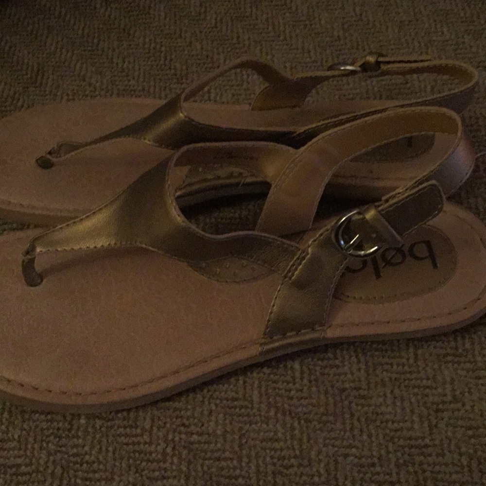Bolo - Picture 2 of 6